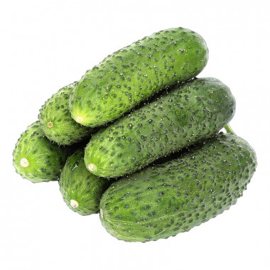Огурцы короткоплодные 1кг