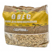 Овес Здоровка для проращивания 300г